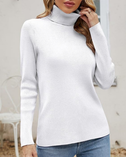 Rib Linning Turtle Neck Top